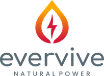 Evervive